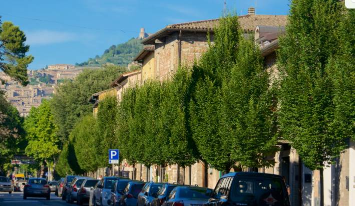 appartamento in vendita ad Assisi in zona Santa Maria degli Angeli