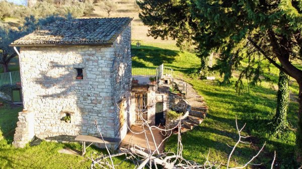 appartamento in vendita ad Assisi