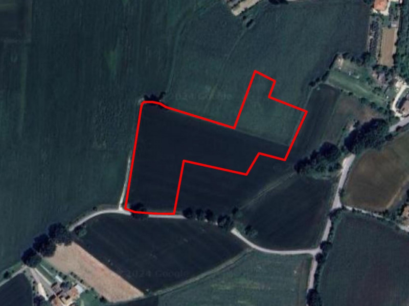 terreno agricolo in vendita ad Assisi in zona Torchiagina