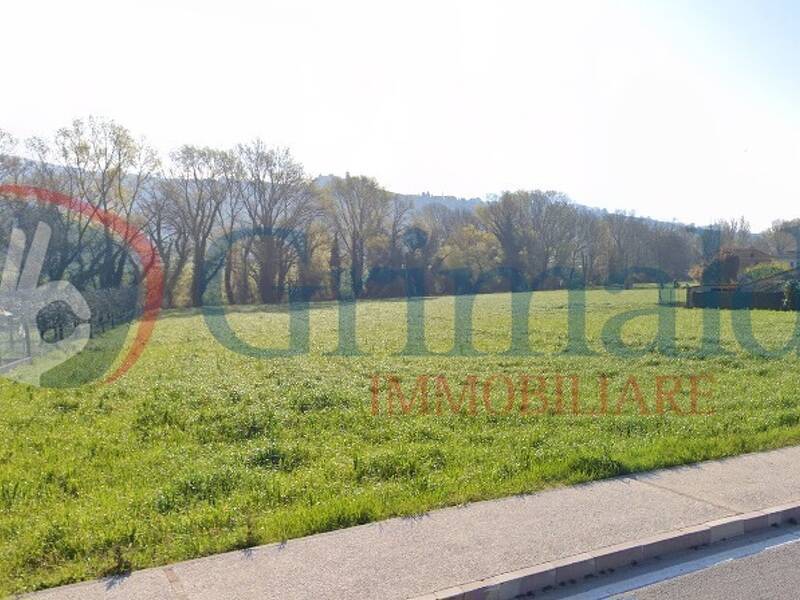 terreno agricolo in vendita ad Assisi