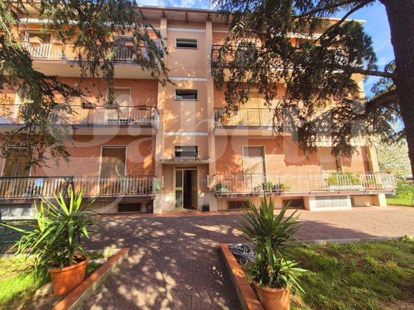 appartamento in vendita ad Assisi in zona Petrignano
