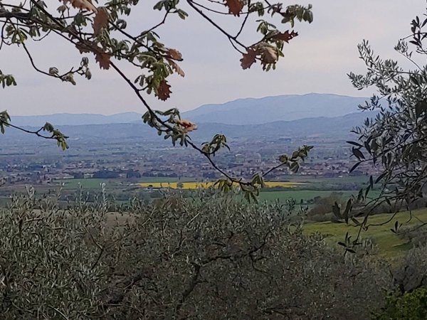 terreno agricolo in vendita ad Assisi in zona Tordibetto