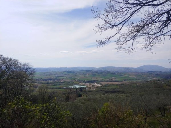 terreno agricolo in vendita ad Assisi in zona Rocca San Angelo