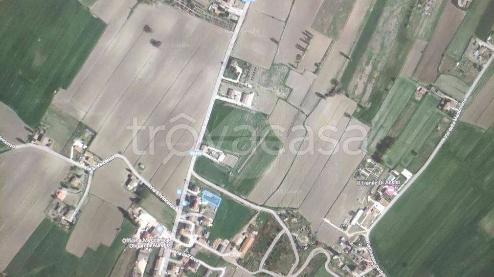 terreno agricolo in vendita ad Assisi in zona Castelnuovo