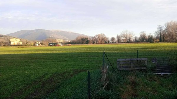 terreno agricolo in vendita ad Assisi in zona Tordibetto