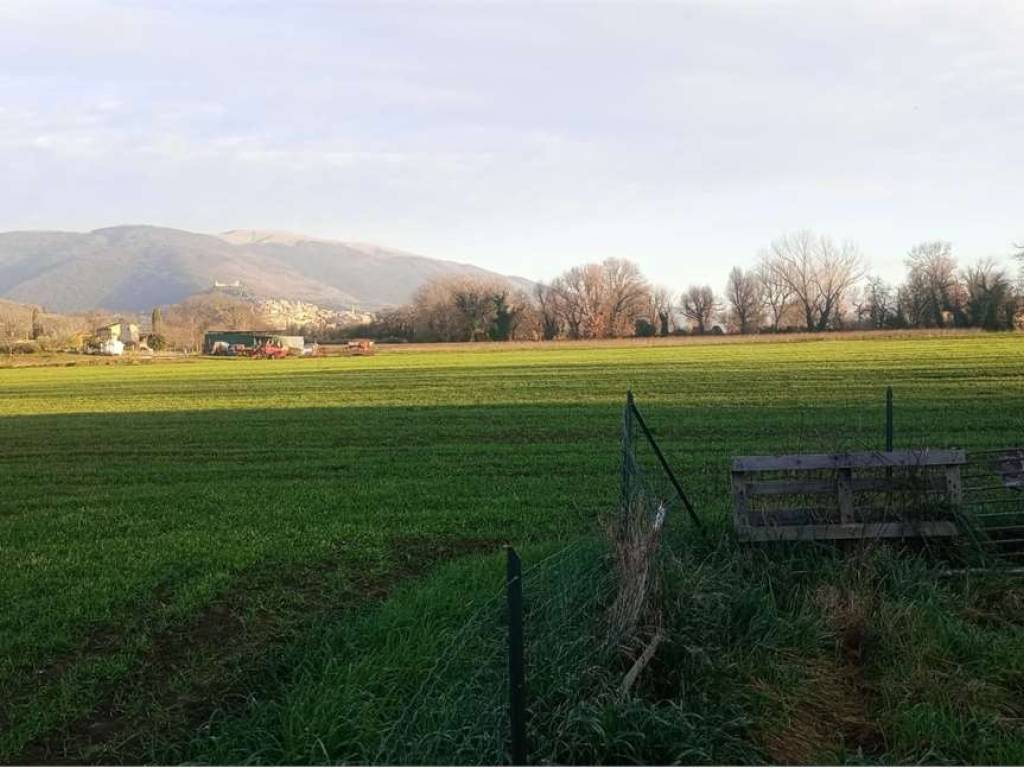 terreno agricolo in vendita ad Assisi in zona Tordibetto