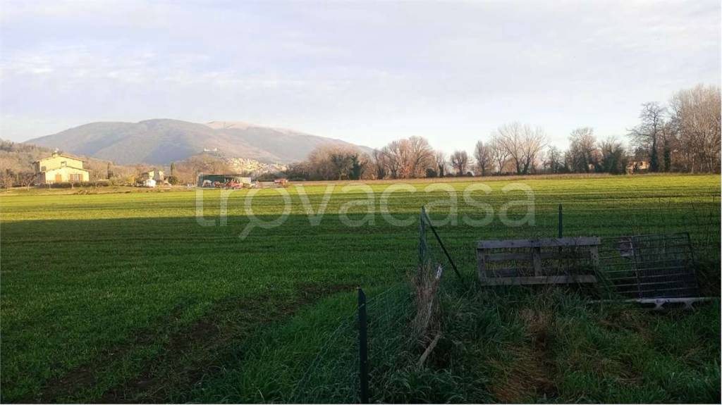 terreno agricolo in vendita ad Assisi in zona Tordibetto