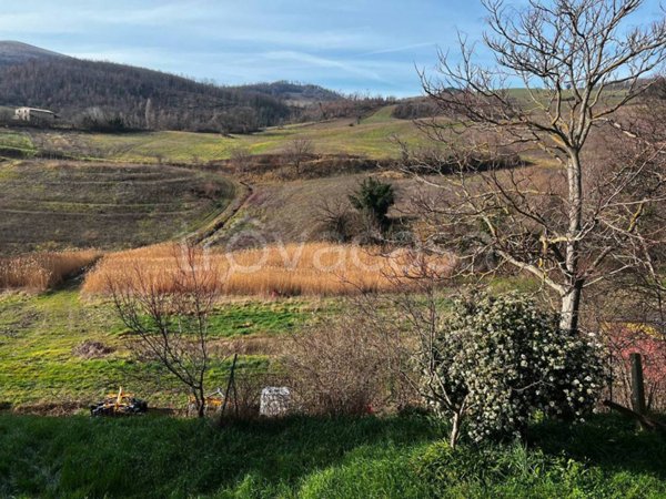terreno agricolo in vendita ad Assisi