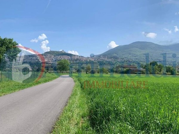 terreno agricolo in vendita ad Assisi in zona Santa Maria degli Angeli
