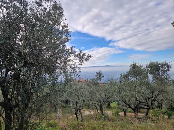 terreno agricolo in vendita ad Assisi in zona Capodacqua