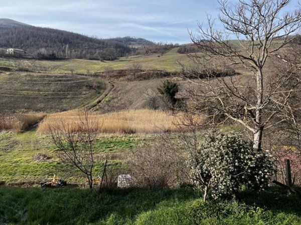 terreno agricolo in vendita ad Assisi in zona Costa di Trex