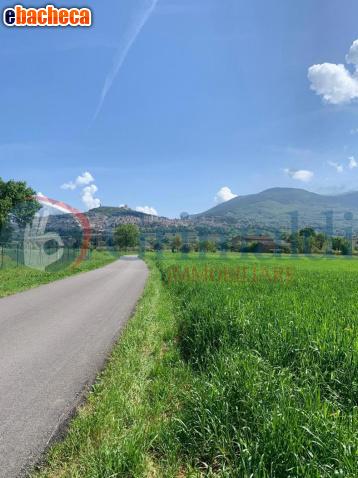 terreno agricolo in vendita ad Assisi