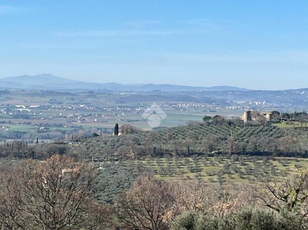 casa indipendente in vendita ad Assisi in zona Santa Maria degli Angeli