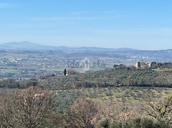 casale in vendita ad Assisi in zona Santa Maria degli Angeli