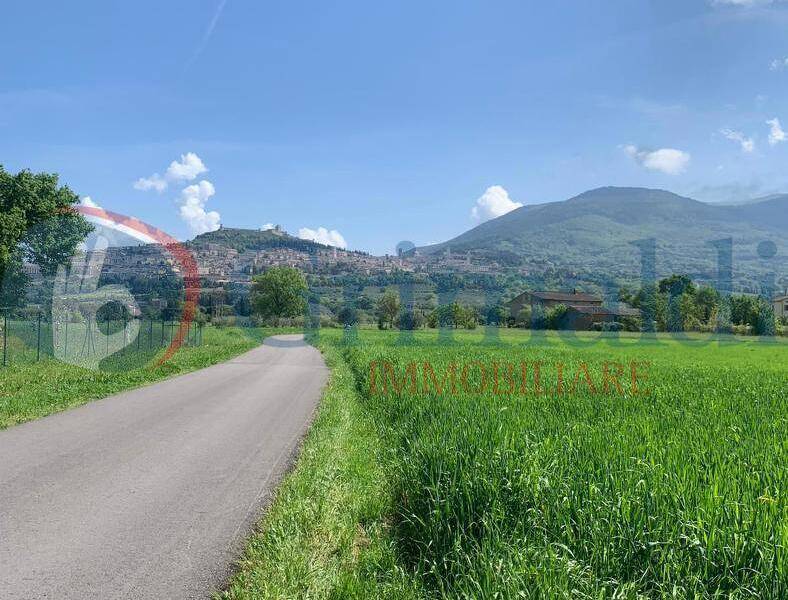 terreno agricolo in vendita ad Assisi