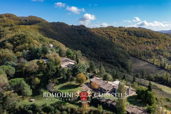 negozio in vendita ad Assisi