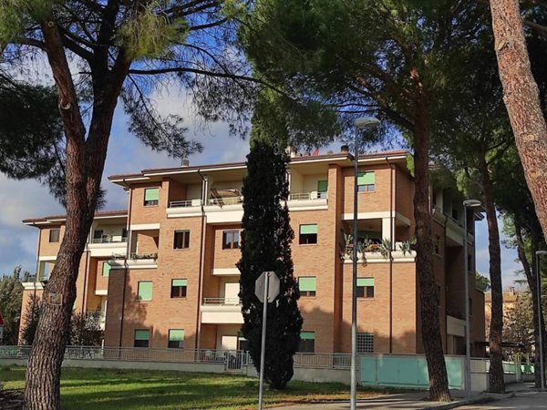appartamento in vendita ad Assisi in zona Santa Maria degli Angeli