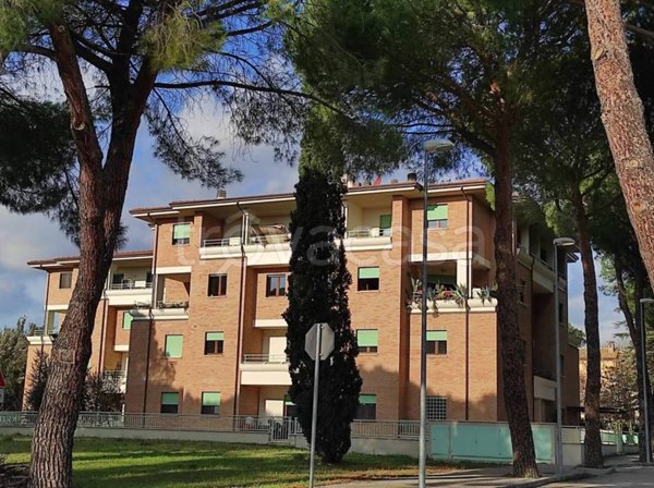 appartamento in vendita ad Assisi in zona Santa Maria degli Angeli