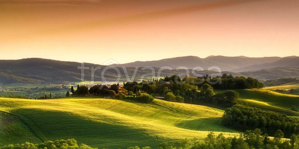 terreno agricolo in vendita ad Assisi