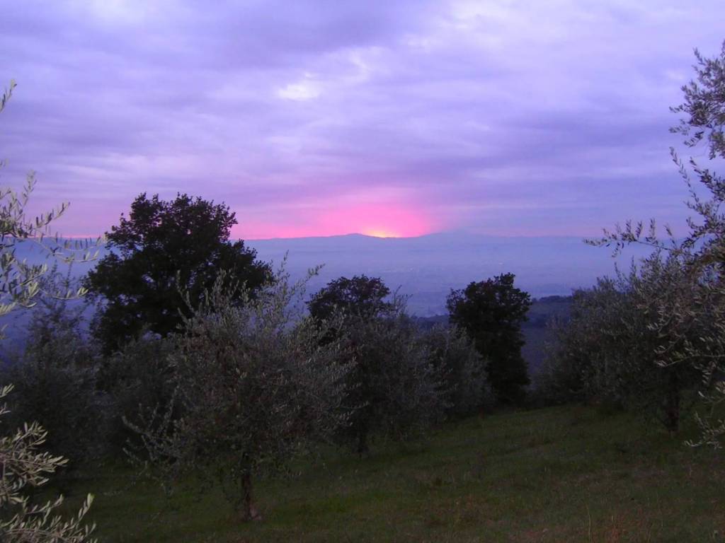 casa indipendente in vendita ad Assisi