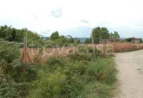 terreno agricolo in vendita ad Assisi in zona Castelnuovo