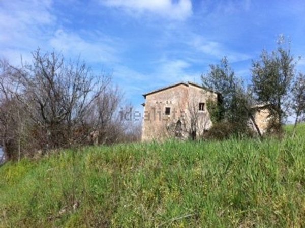 pentavano in vendita ad Assisi