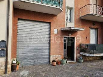 appartamento in vendita ad Assisi in zona Petrignano