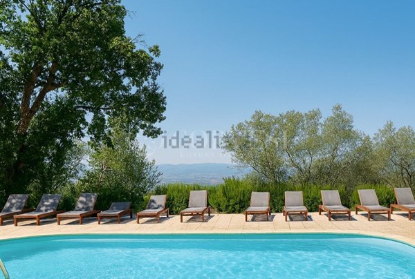 negozio in vendita ad Assisi