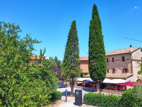 negozio in vendita ad Assisi in zona Santa Maria degli Angeli