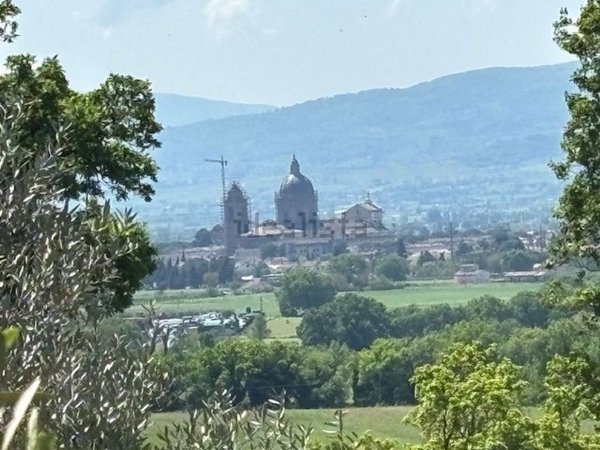 casa indipendente in vendita ad Assisi in zona Santa Maria degli Angeli