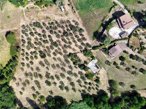casa indipendente in vendita ad Assisi in zona Petrignano