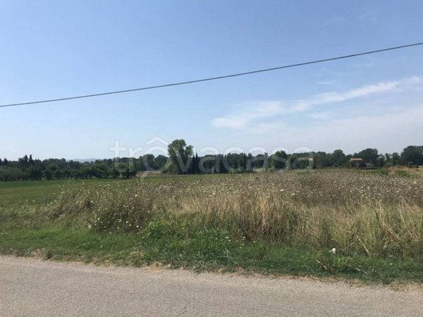 terreno agricolo in vendita ad Assisi in zona Palazzo