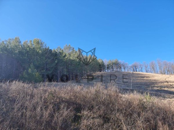 terreno agricolo in vendita ad Assisi