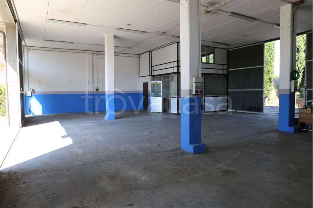 locale commerciale in vendita ad Assisi in zona Santa Maria degli Angeli