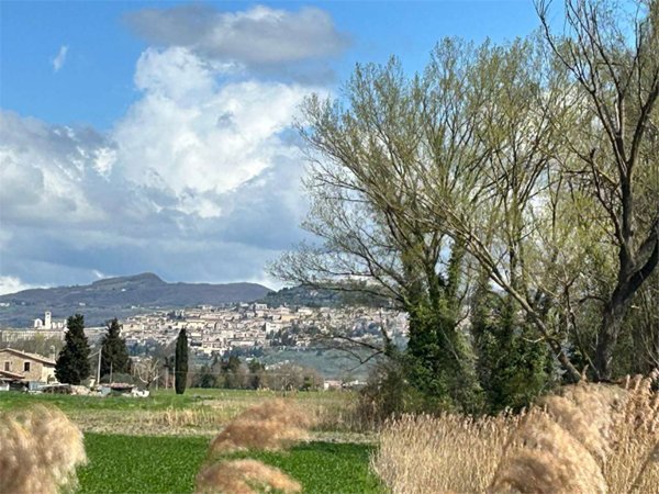 terreno agricolo in vendita ad Assisi in zona Castelnuovo