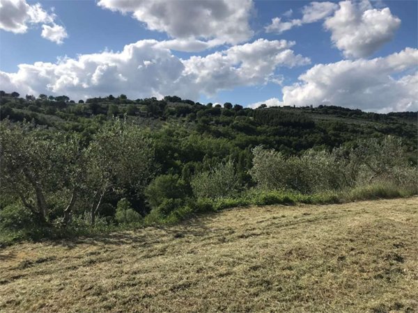 terreno agricolo in vendita ad Assisi in zona Tordibetto