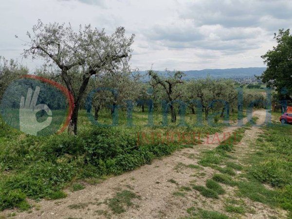 terreno in vendita ad Assisi in zona Santa Maria degli Angeli