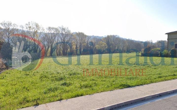 terreno agricolo in vendita ad Assisi