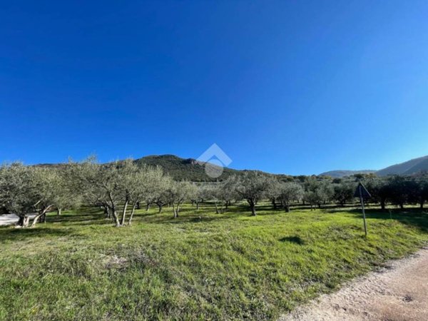terreno agricolo in vendita ad Assisi in zona Capodacqua