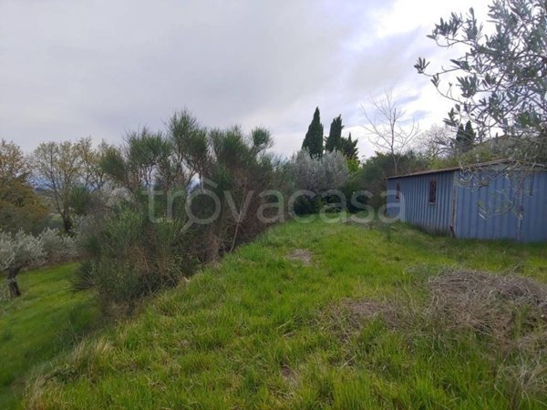 terreno agricolo in vendita ad Assisi