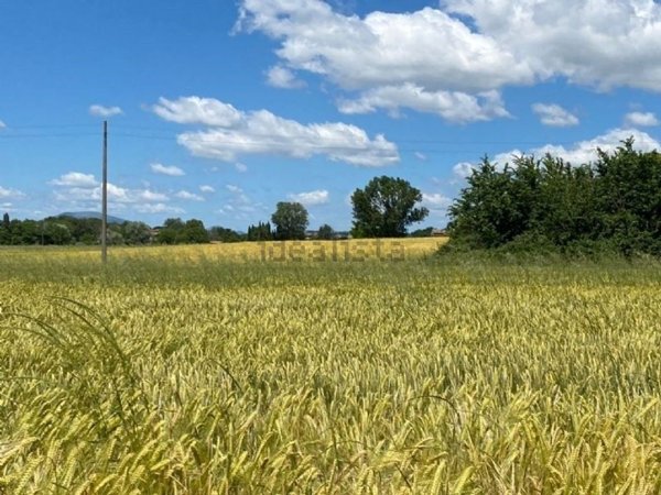 esavano in vendita ad Assisi in zona Palazzo