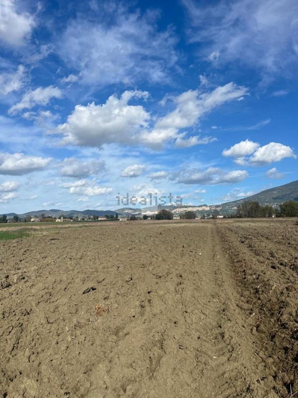 terreno agricolo in vendita ad Assisi in zona Castelnuovo