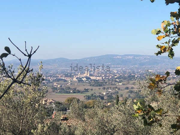 terreno edificabile in vendita ad Assisi in zona Viole
