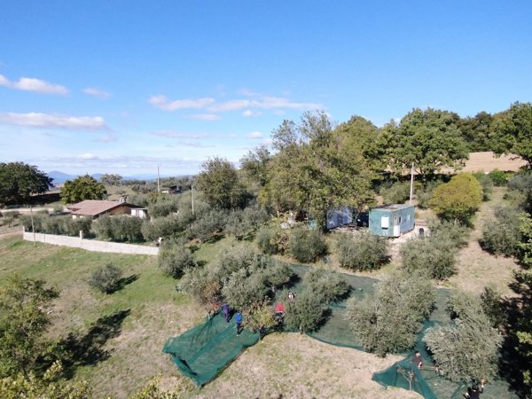 terreno edificabile in vendita ad Assisi