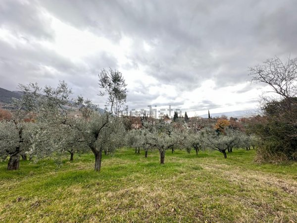 terreno edificabile in vendita ad Assisi