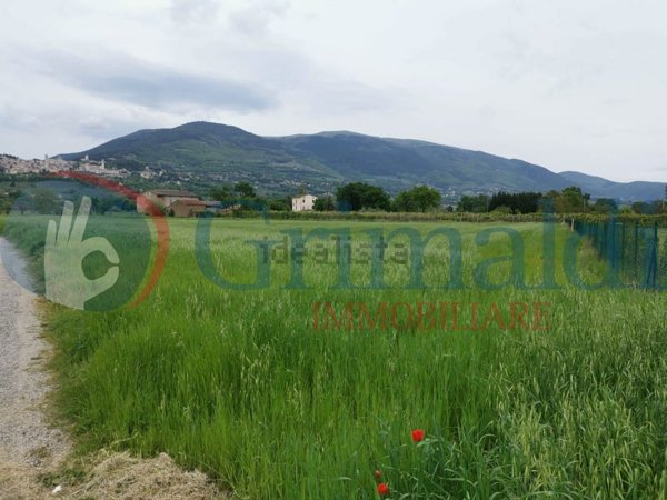 terreno agricolo in vendita ad Assisi