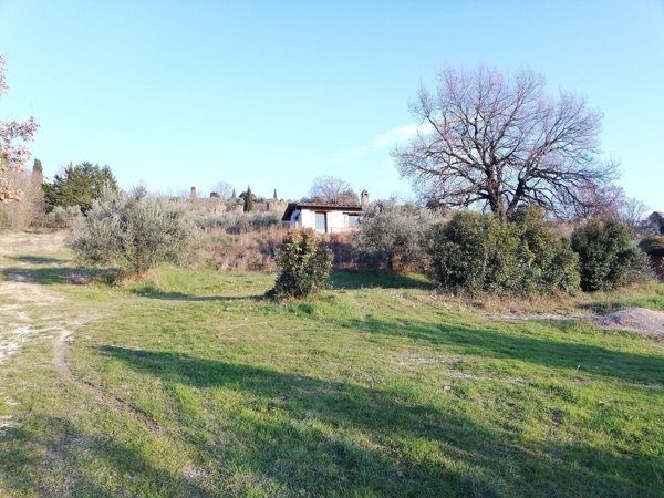 terreno agricolo in vendita ad Assisi