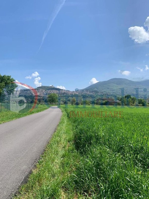 terreno agricolo in vendita ad Assisi