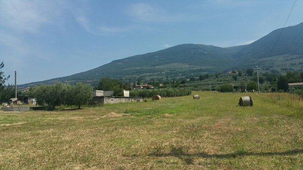 terreno agricolo in vendita ad Assisi