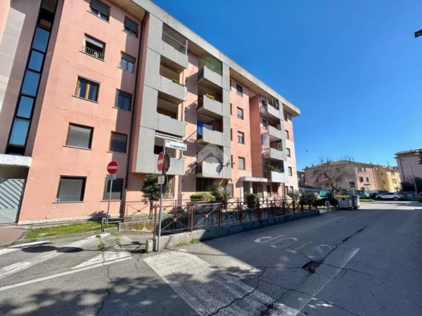 appartamento in vendita ad Assisi in zona Santa Maria degli Angeli